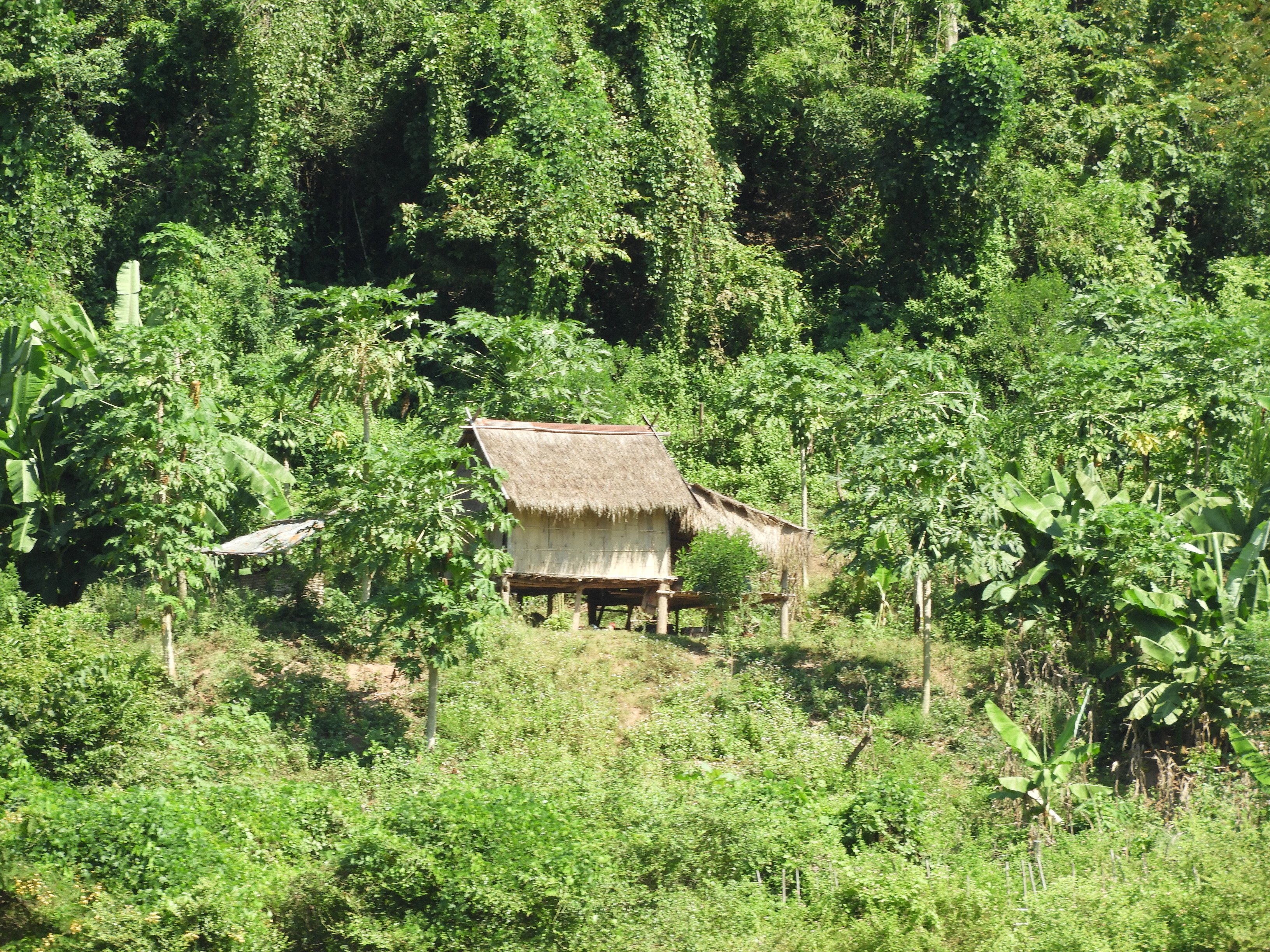 dscn3251.jpg