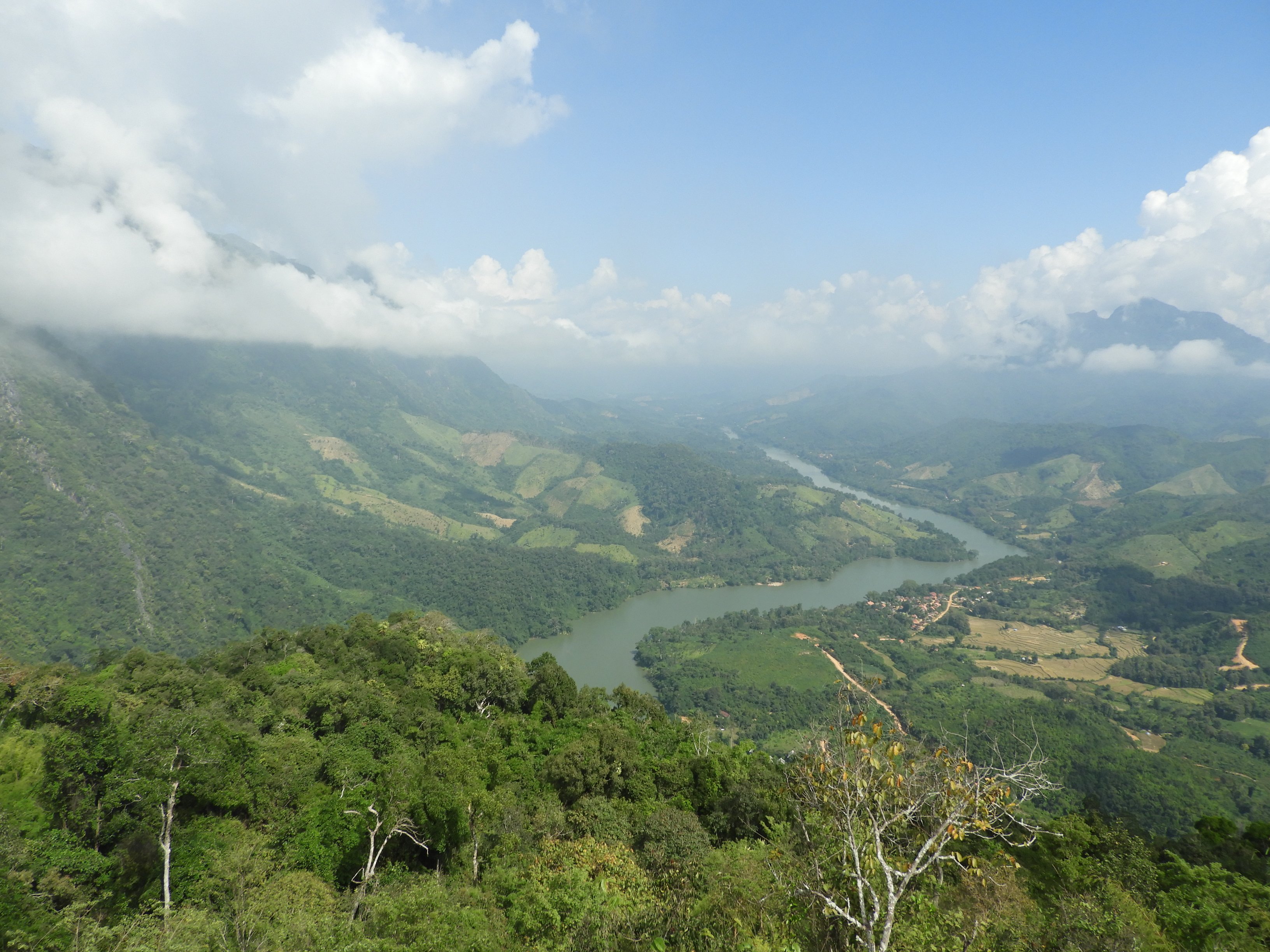 dscn3463.jpg