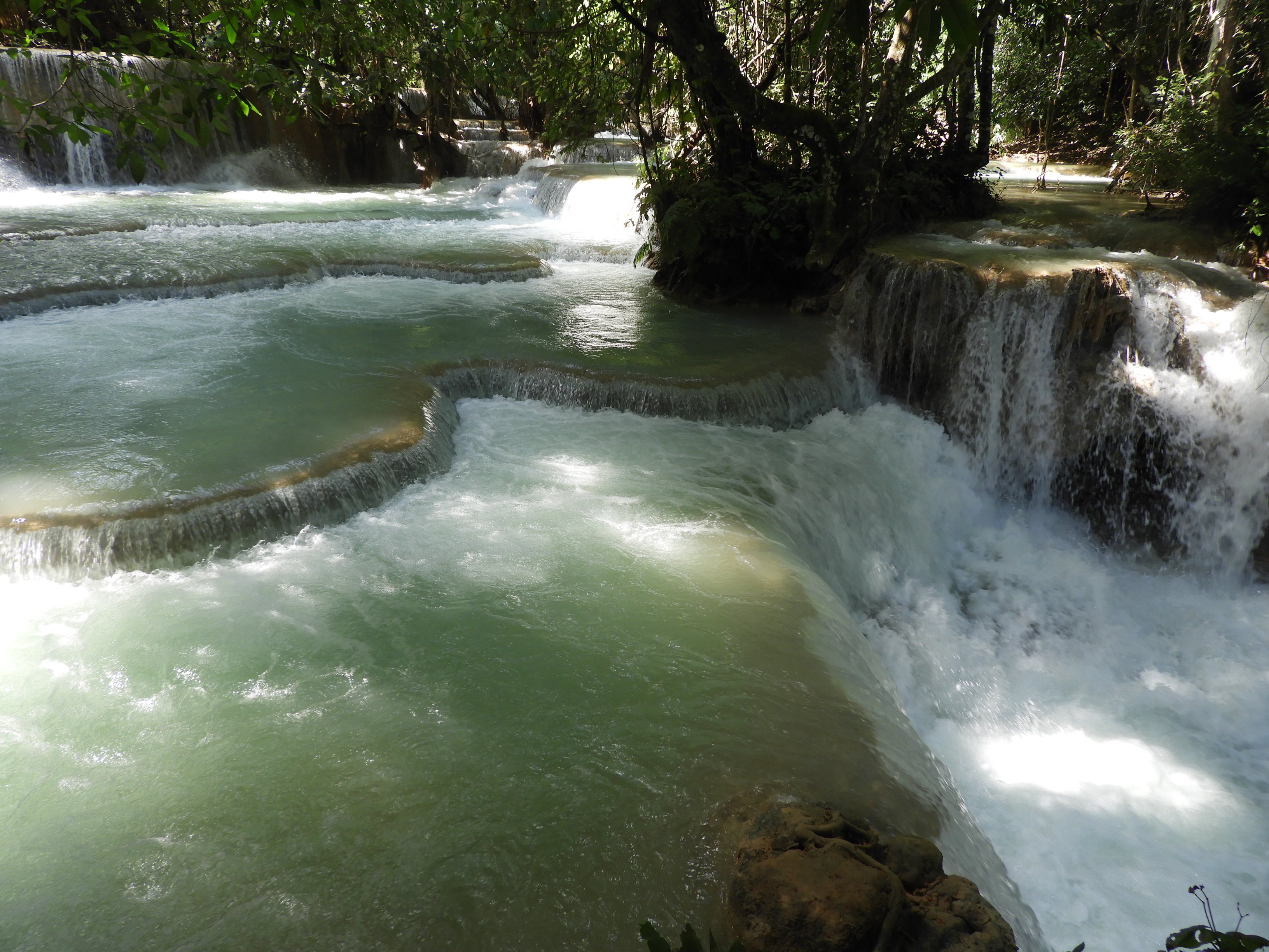 dscn3496.jpg