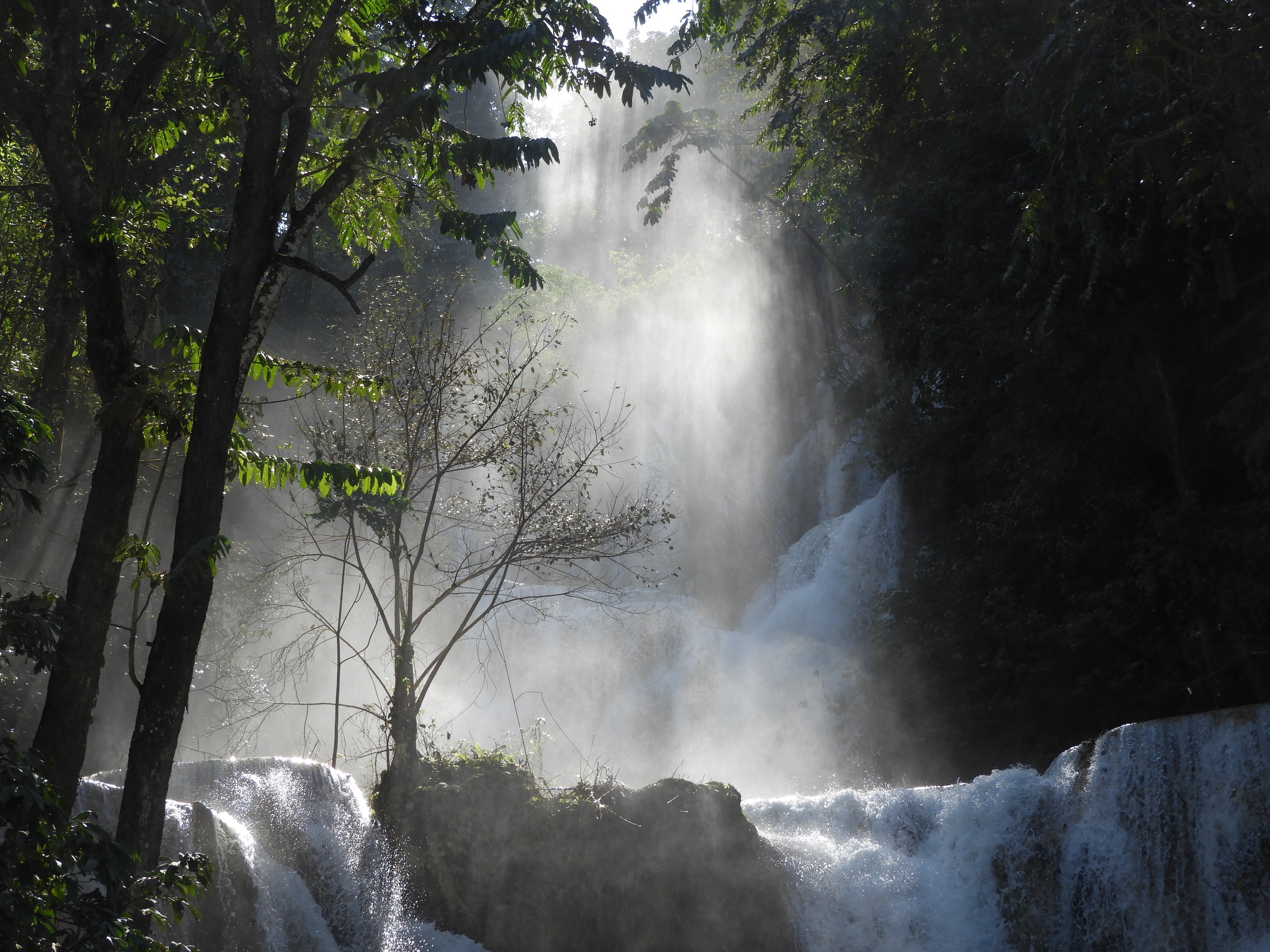 dscn3520.jpg