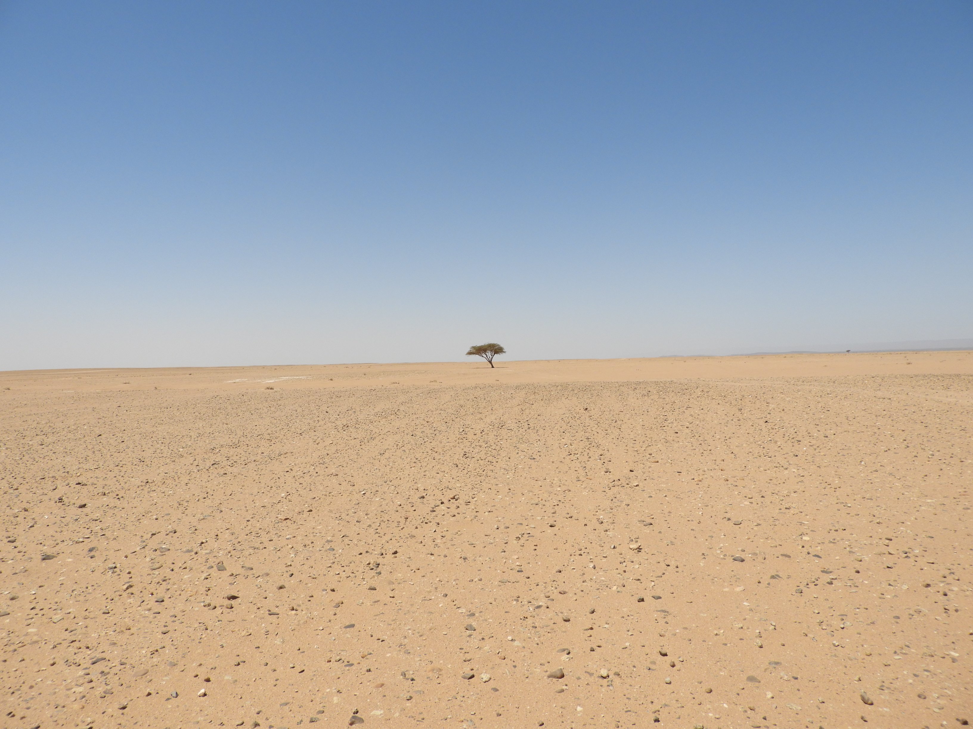 dscn2754.jpg