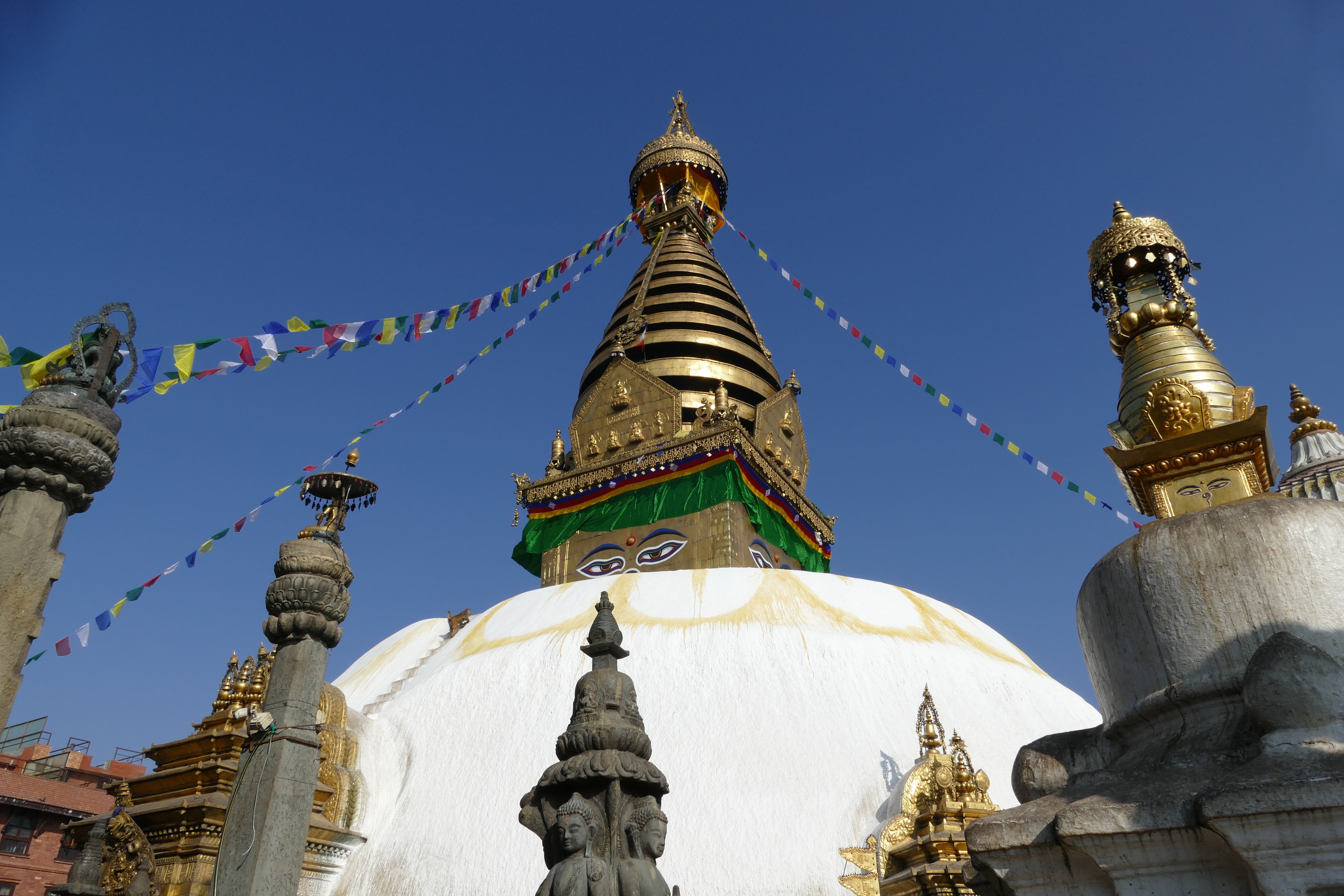 p1000917.jpg