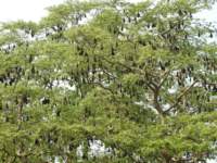 dscn2174_small.jpg