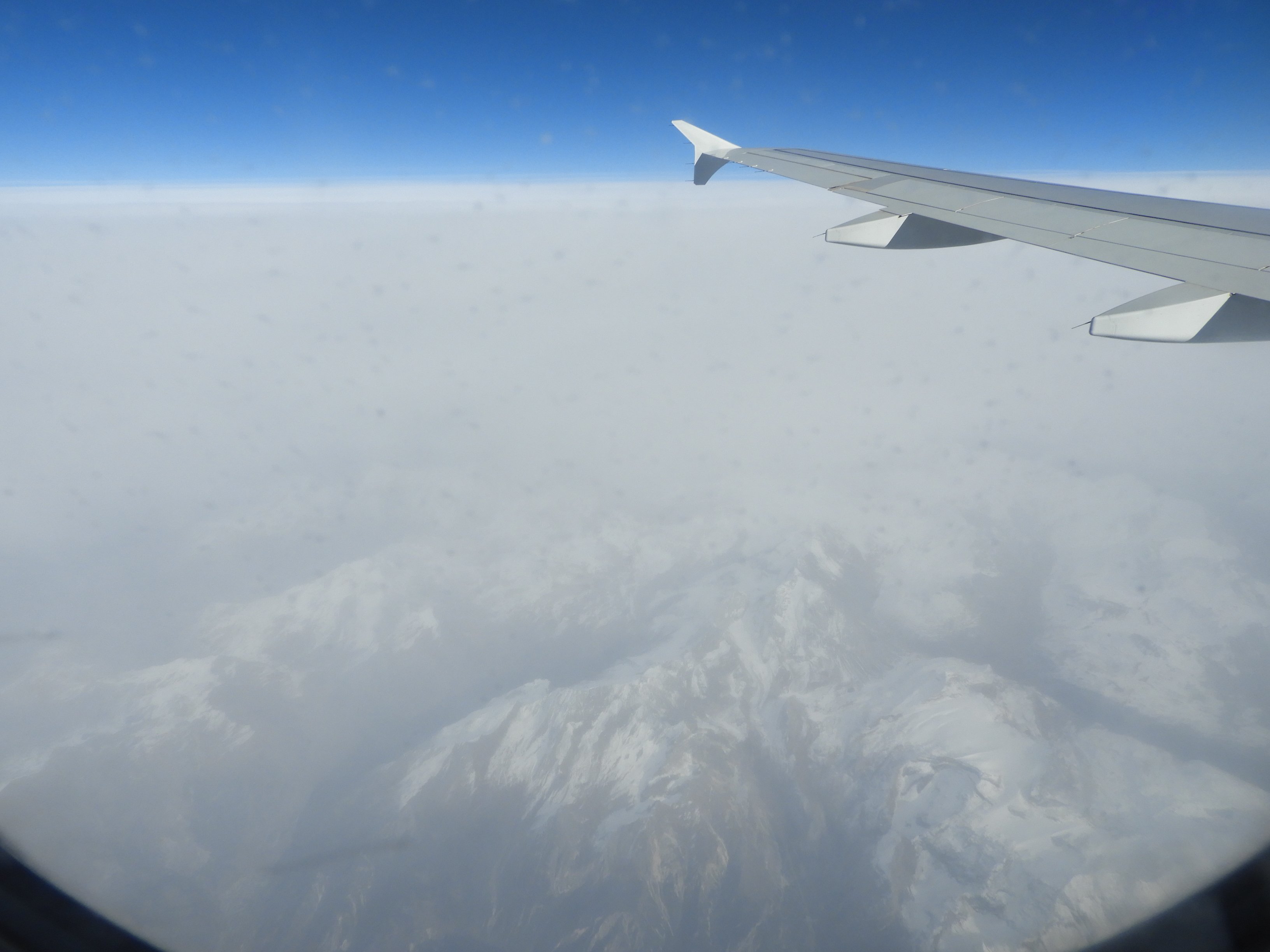 dscn2296.jpg