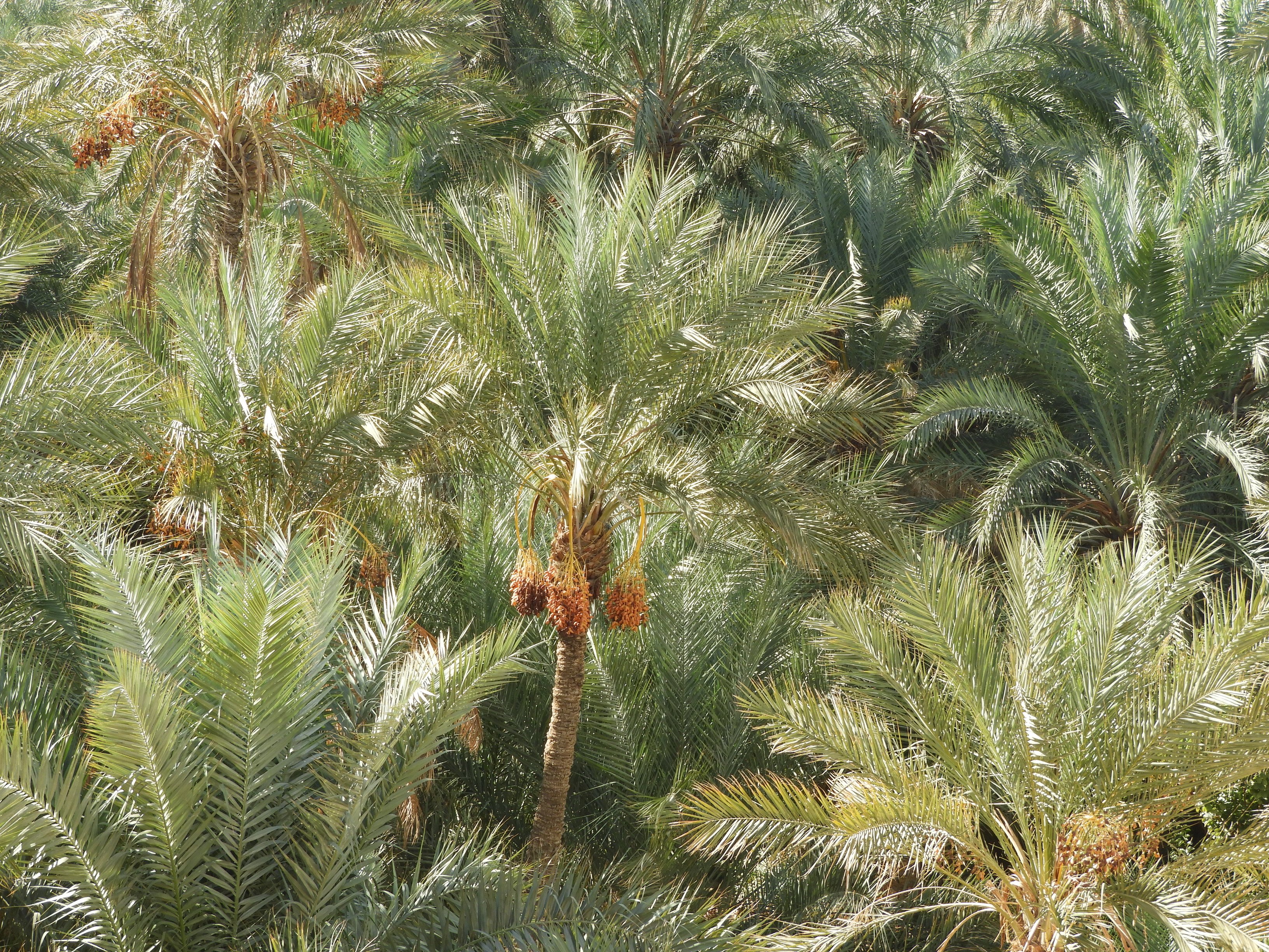 dscn2371.jpg