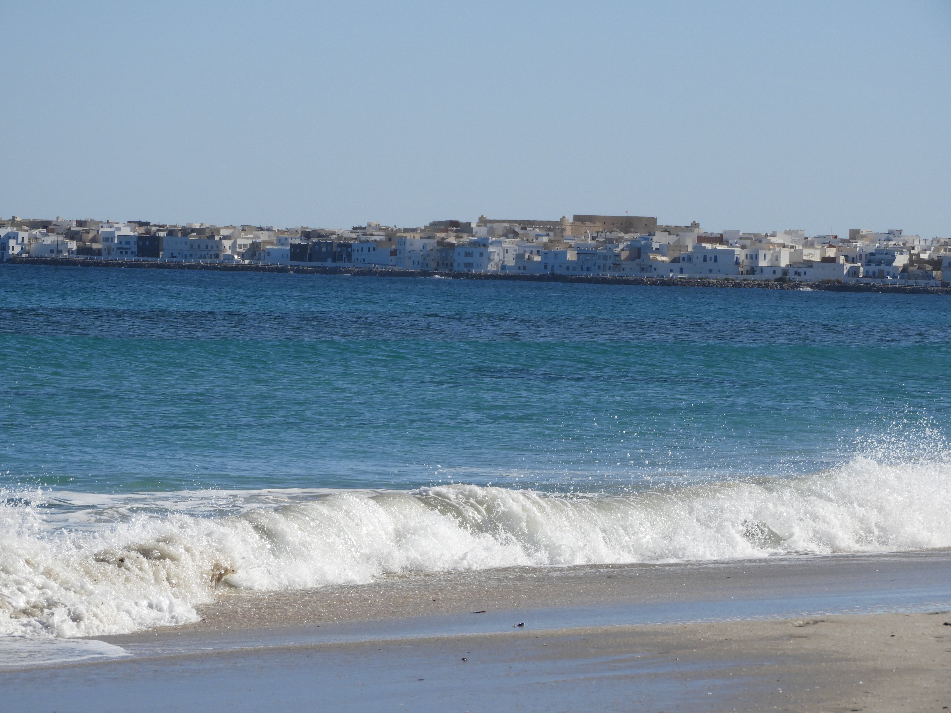 dscn2508.jpg