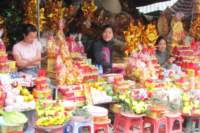 img_0486_small.jpg